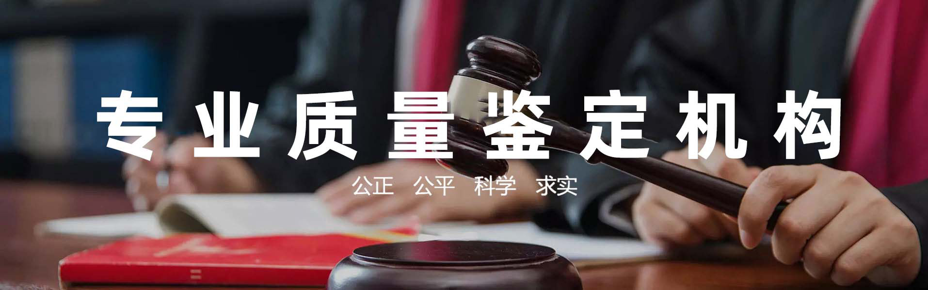 专家信息
